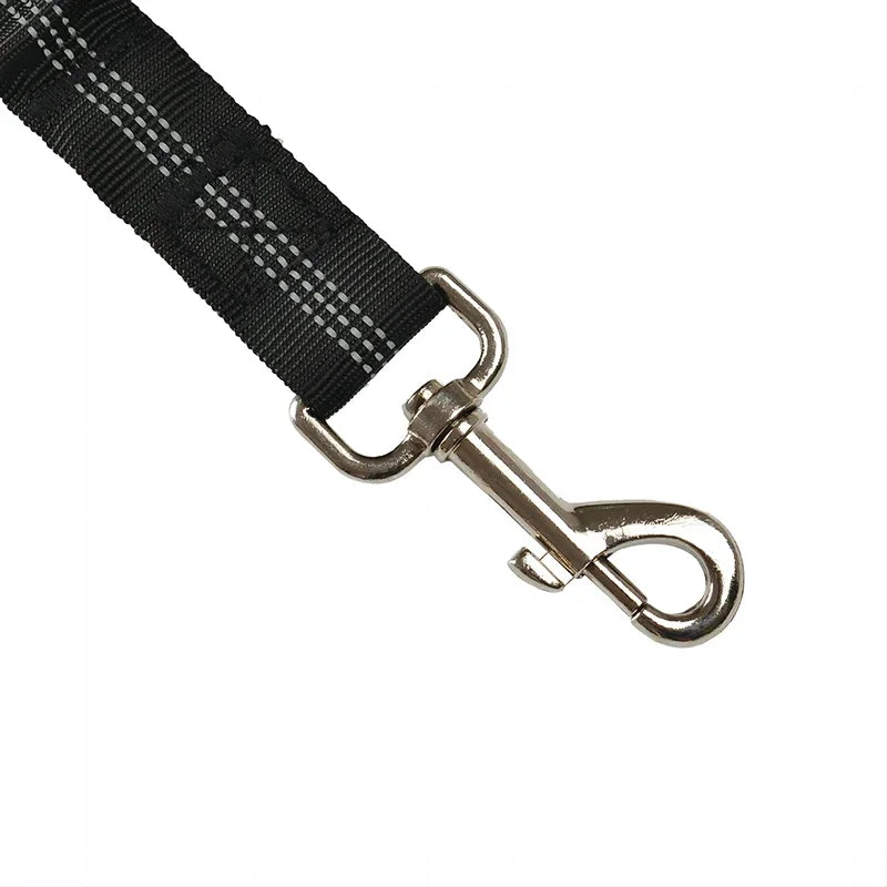 Laisse de sécurité pour chien